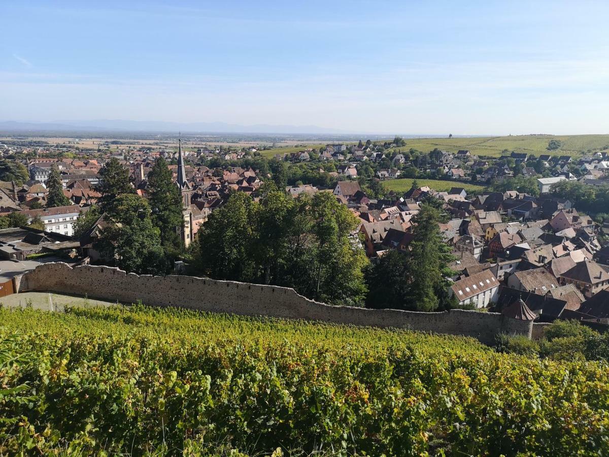 A La Cour De Ribeauville Avec Garage Buitenkant foto
